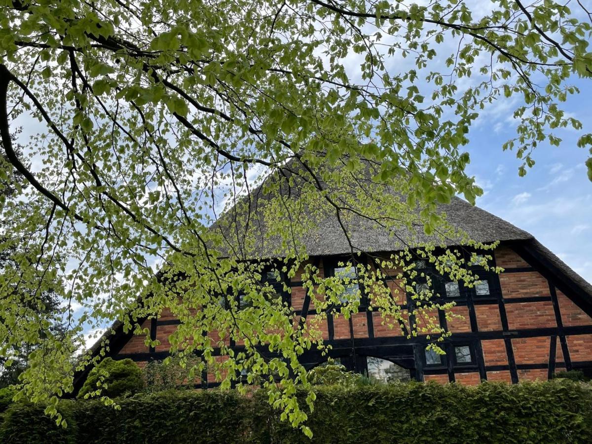 Ferienwohnung St. Dionyser Heidedorf Sankt Dionys 外观 照片